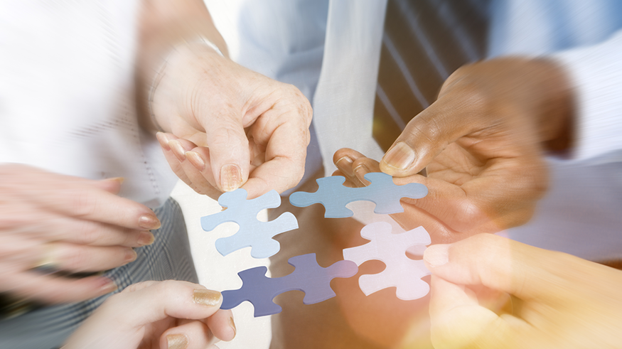 COBIT 5 Principle 5 Separating Governance from Management